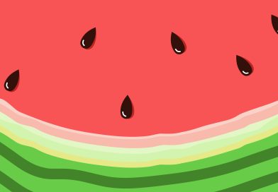 책으로 떠나는 여행! 단기특강 2기 (7/7)