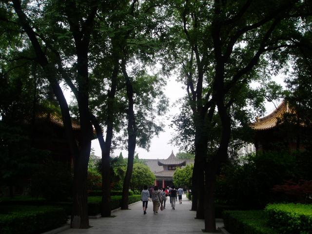P1010017.JPG