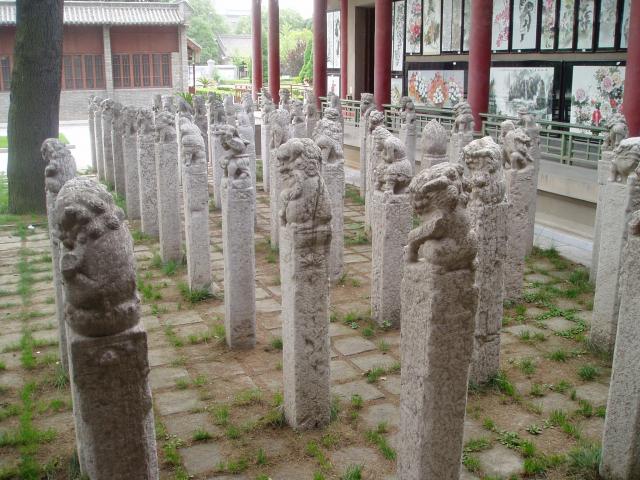 P1010021.JPG