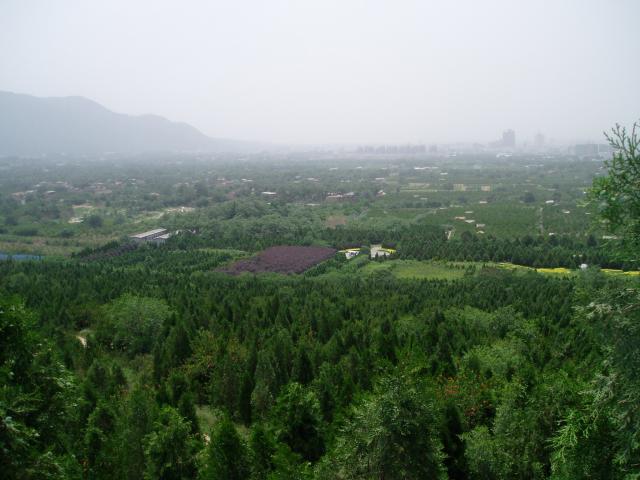 P1010027.JPG