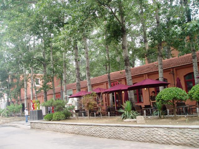 P1010037.JPG